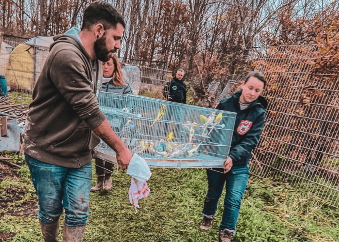 beslag saisie rescue adt birds vogels oiseaux