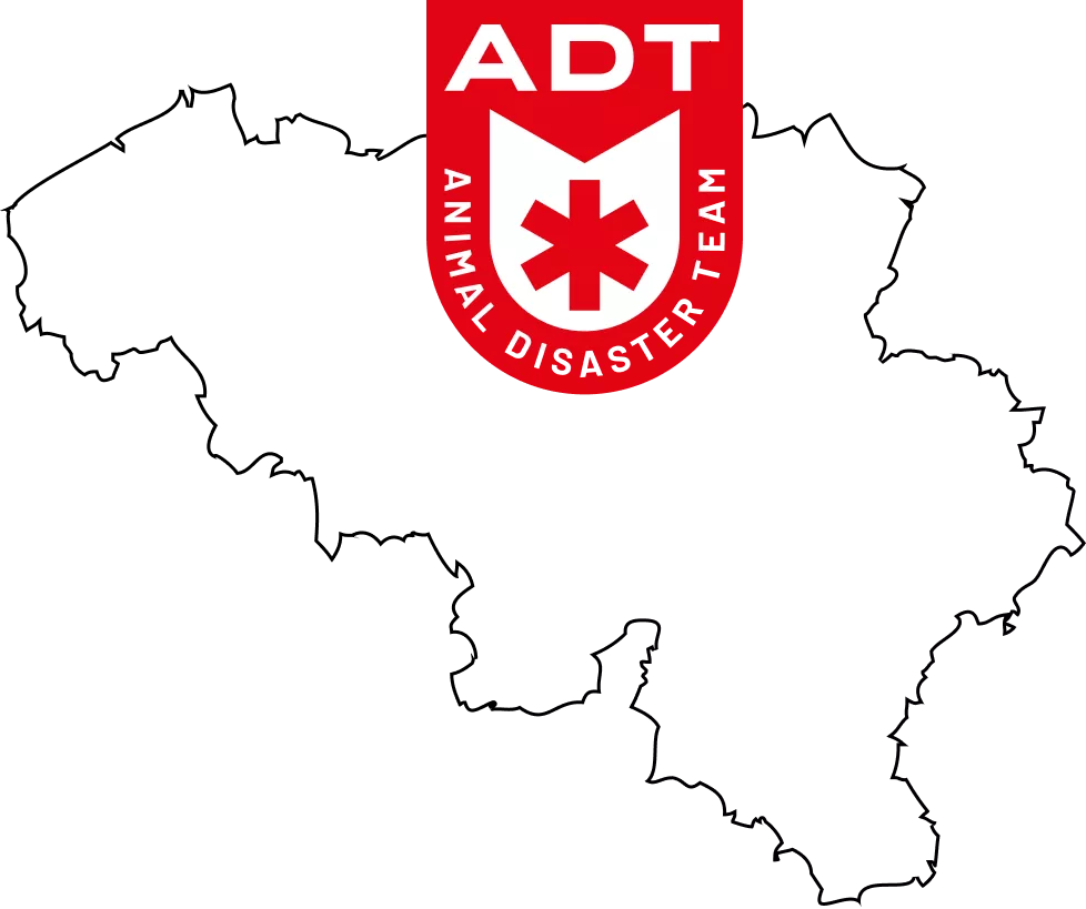 Adt